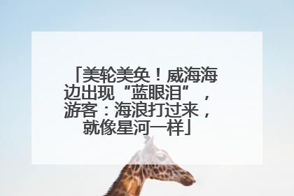 美轮美奂！威海海边出现“蓝眼泪”，游客：海浪打过来，就像星河一样