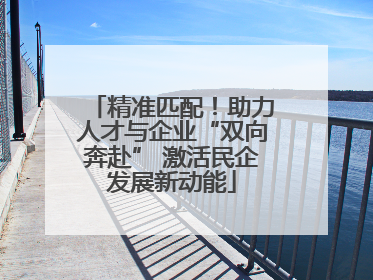 精准匹配！助力人才与企业“双向奔赴” 激活民企发展新动能