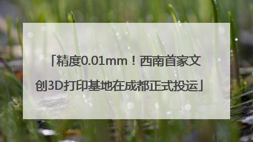 精度0.01mm！西南首家文创3D打印基地在成都正式投运