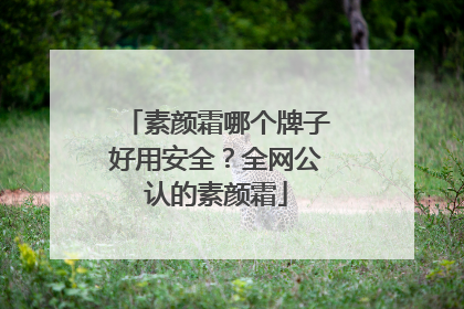 素颜霜哪个牌子好用安全？全网公认的素颜霜