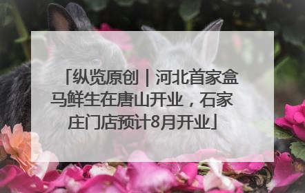 纵览原创｜河北首家盒马鲜生在唐山开业，石家庄门店预计8月开业