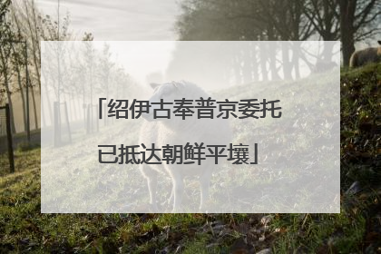 绍伊古奉普京委托已抵达朝鲜平壤