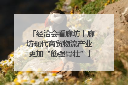 经洽会看廊坊丨廊坊现代商贸物流产业更加“筋强骨壮”