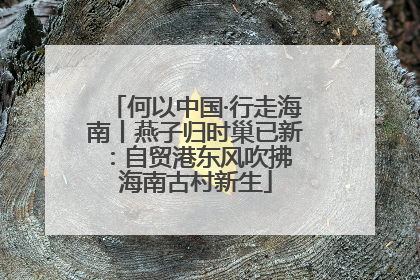 何以中国·行走海南丨燕子归时巢已新：自贸港东风吹拂 海南古村新生