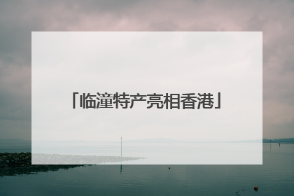 临潼特产亮相香港