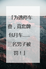 为逃停车费，竟套牌包月车……三名男子被罚！