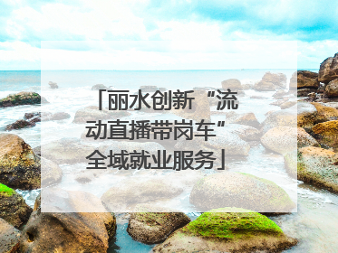 丽水创新“流动直播带岗车”全域就业服务