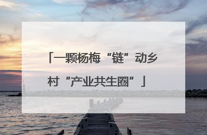 一颗杨梅“链”动乡村“产业共生圈”