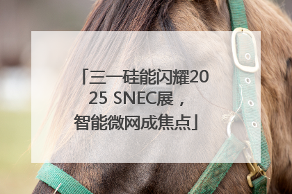 三一硅能闪耀2025 SNEC展，智能微网成焦点