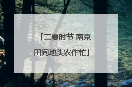 三夏时节 南京田间地头农作忙
