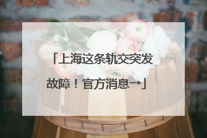 上海这条轨交突发故障！官方消息→