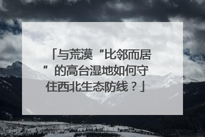 与荒漠“比邻而居”的高台湿地如何守住西北生态防线？