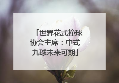 世界花式撞球协会主席：中式九球未来可期
