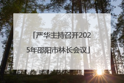 严华主持召开2025年邵阳市林长会议