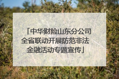 中华财险山东分公司全省联动开展防范非法金融活动专题宣传