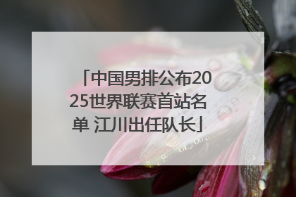 中国男排公布2025世界联赛首站名单 江川出任队长