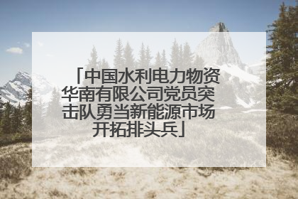 中国水利电力物资华南有限公司党员突击队勇当新能源市场开拓排头兵
