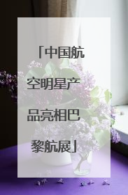 中国航空明星产品亮相巴黎航展