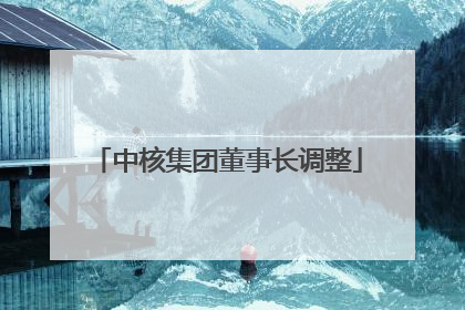 中核集团董事长调整