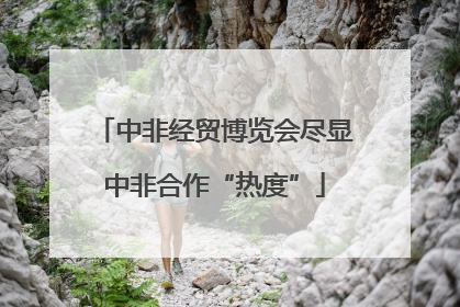 中非经贸博览会尽显中非合作“热度”