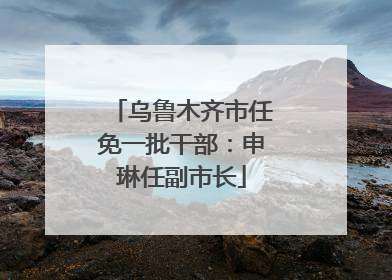 乌鲁木齐市任免一批干部：申琳任副市长