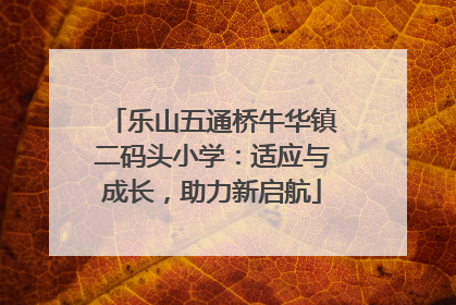 乐山五通桥牛华镇二码头小学：适应与成长，助力新启航