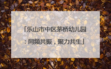 乐山市中区茅桥幼儿园：同频共振，聚力共生
