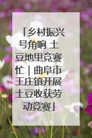 乡村振兴号角响 土豆地里竞赛忙｜曲阜市王庄镇开展土豆收获劳动竞赛