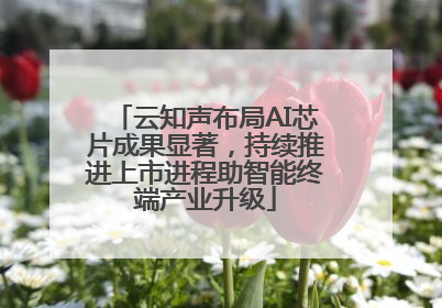 云知声布局AI芯片成果显著，持续推进上市进程助智能终端产业升级