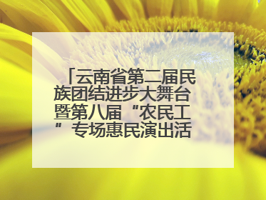 云南省第二届民族团结进步大舞台暨第八届“农民工”专场惠民演出活动启幕