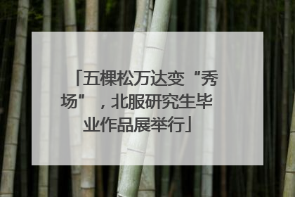 五棵松万达变“秀场”，北服研究生毕业作品展举行