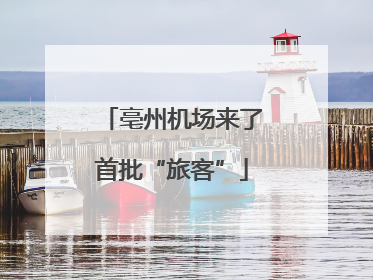 亳州机场来了首批“旅客”