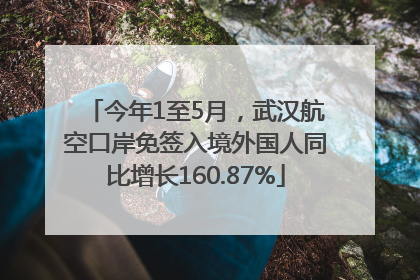今年1至5月，武汉航空口岸免签入境外国人同比增长160.87%