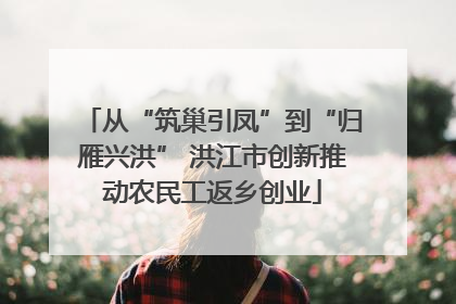从“筑巢引凤”到“归雁兴洪” 洪江市创新推动农民工返乡创业