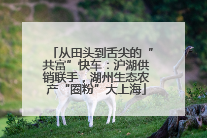 从田头到舌尖的“共富”快车：沪湖供销联手，湖州生态农产“圈粉”大上海