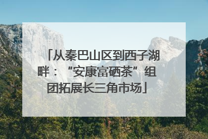 从秦巴山区到西子湖畔:“安康富硒茶”组团拓展长三角市场