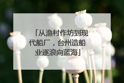 从渔村作坊到现代船厂，台州造船业逐浪向蓝海