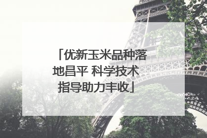 优新玉米品种落地昌平 科学技术指导助力丰收