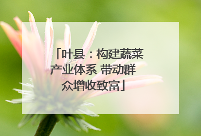 叶县：构建蔬菜产业体系 带动群众增收致富