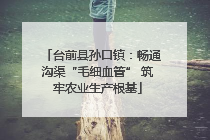 台前县孙口镇：畅通沟渠“毛细血管” 筑牢农业生产根基