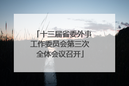 十三届省委外事工作委员会第三次全体会议召开