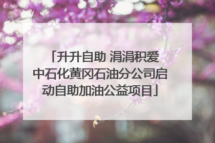 升升自助 涓涓积爱 中石化黄冈石油分公司启动自助加油公益项目