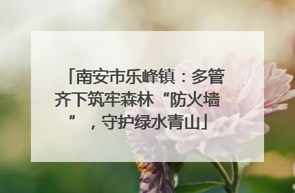 南安市乐峰镇：多管齐下筑牢森林“防火墙”，守护绿水青山