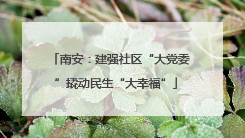 南安：建强社区“大党委”撬动民生“大幸福”