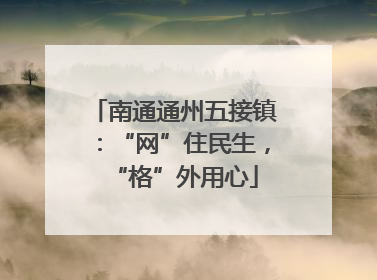 南通通州五接镇：“网”住民生，“格”外用心