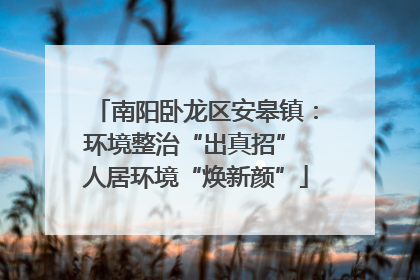 南阳卧龙区安皋镇：环境整治“出真招” 人居环境“焕新颜”