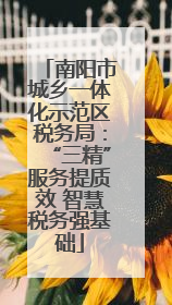 南阳市城乡一体化示范区税务局：“三精”服务提质效 智慧税务强基础