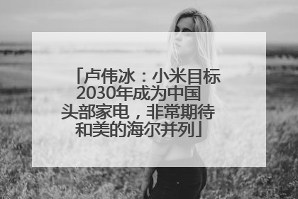 卢伟冰：小米目标2030年成为中国头部家电，非常期待和美的海尔并列