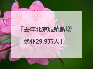 去年北京城镇新增就业29.9万人