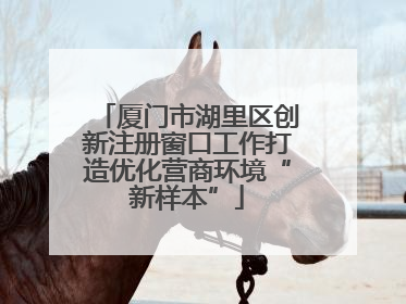 厦门市湖里区创新注册窗口工作打造优化营商环境“新样本”